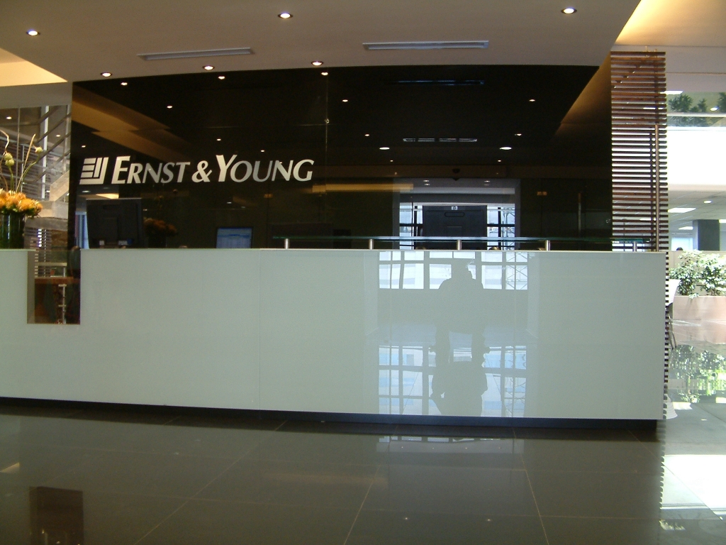 ernst-and-young-cape-town-sa-3